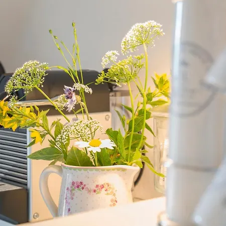 Apartment Homerie
